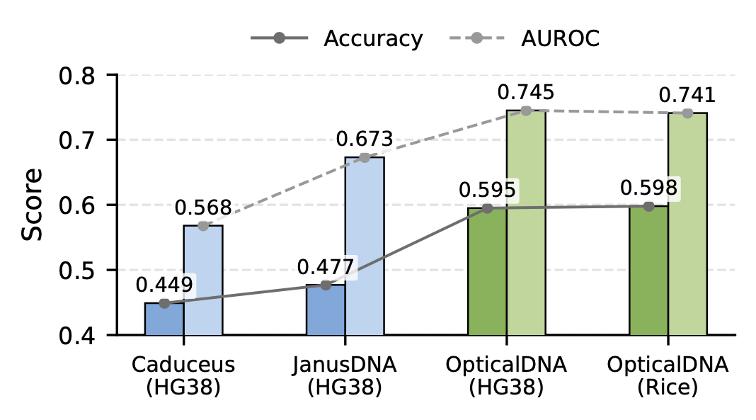 Cross-species transfer from HG38 to rice