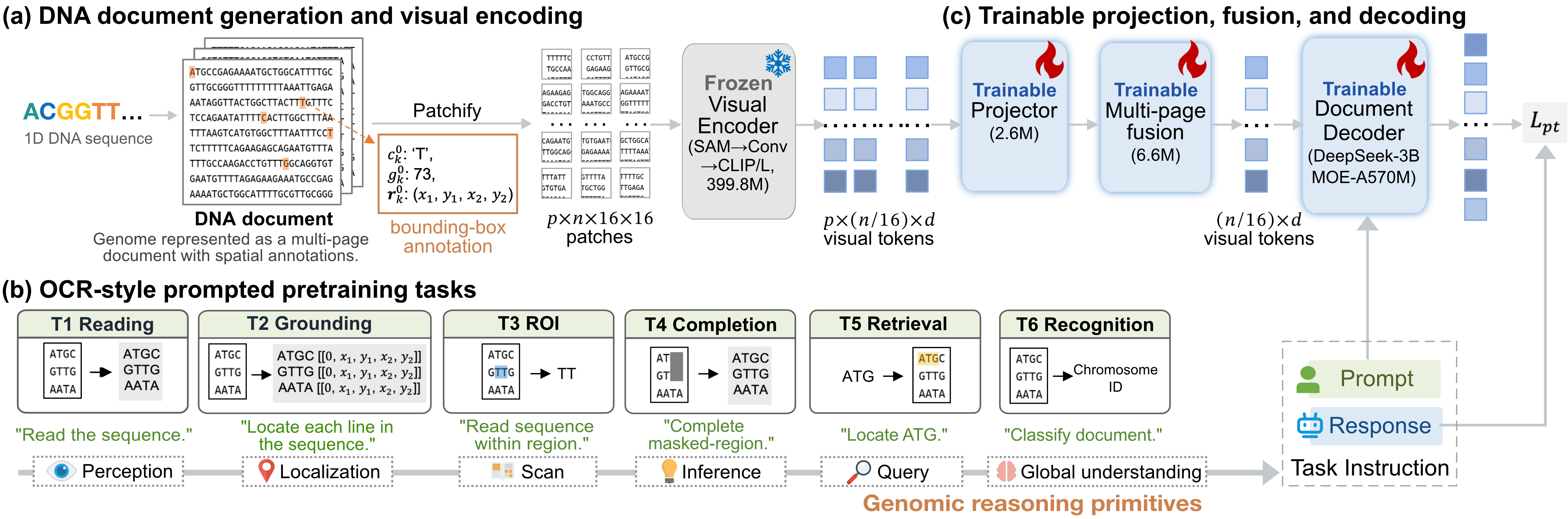 Overview of OpticalDNA